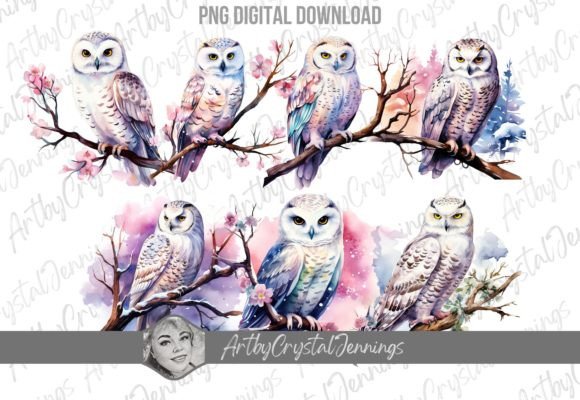 Download Winter Snow Owl Watercolor Bird PNG - Snow owl watercolor Collection