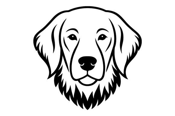 Download An Exhibition Golden Retriever Looks - Exhibition Collection