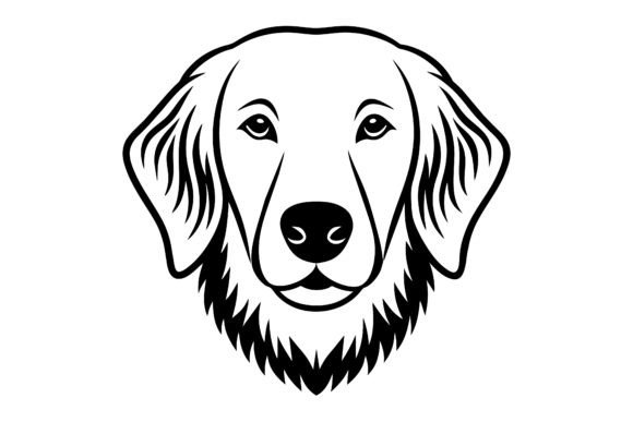Download An Exhibition Golden Retriever Looks - Exhibition Collection